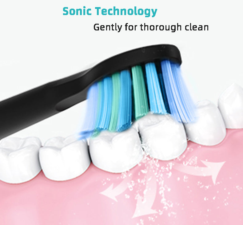 Seago Electric Sonic Toothbrush 507B