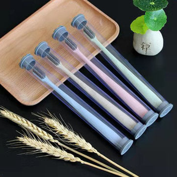 Bàn chải đánh răng tiệt trùng  Ke nóng lạnh [Bàn chải răng]