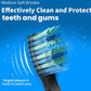 Seago Electric Sonic Toothbrush 507B