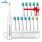 Seago Electric Sonic Toothbrush 507B