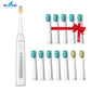 Seago Electric Sonic Toothbrush 507B